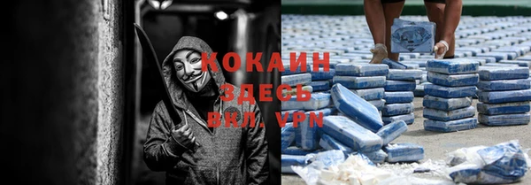 дурь Киреевск