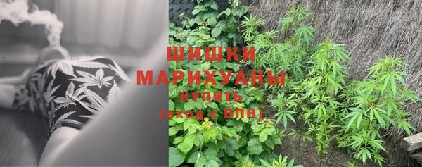 дурь Киреевск